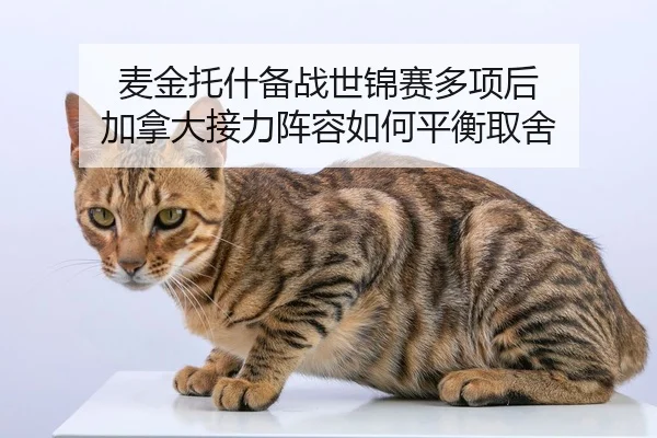 mai-jin-tuo-shen-bei-zhan-shi-jin-sai-duo-xiang-hou-jia-na-da-jie-li-zhen-rong-ru-he-ping-heng-qu-she-2-651.jpg