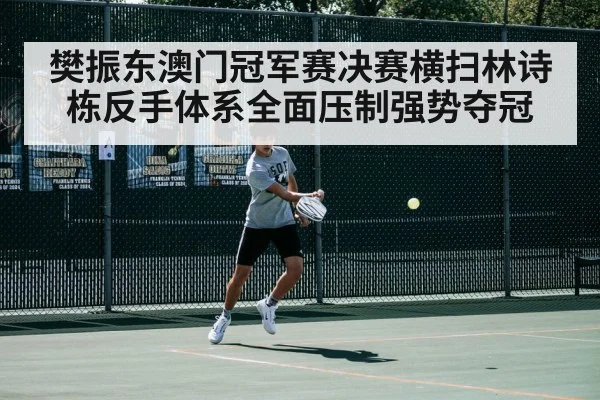 樊振东澳门冠军赛决赛横扫林诗栋反手体系全面压制强势夺冠